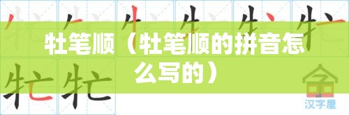 牡笔顺（牡笔顺的拼音怎么写的）