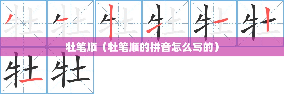 牡笔顺（牡笔顺的拼音怎么写的）