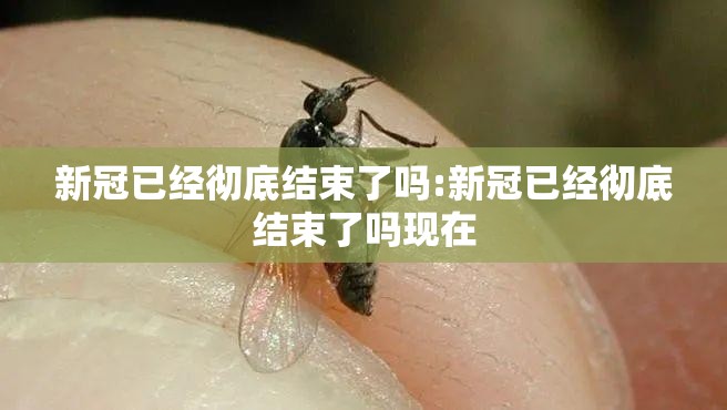 新冠已经彻底结束了吗:新冠已经彻底结束了吗现在