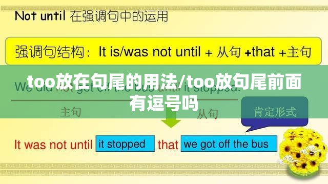too放在句尾的用法/too放句尾前面有逗号吗