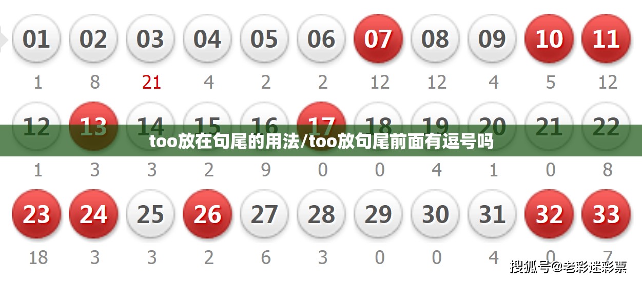 too放在句尾的用法/too放句尾前面有逗号吗