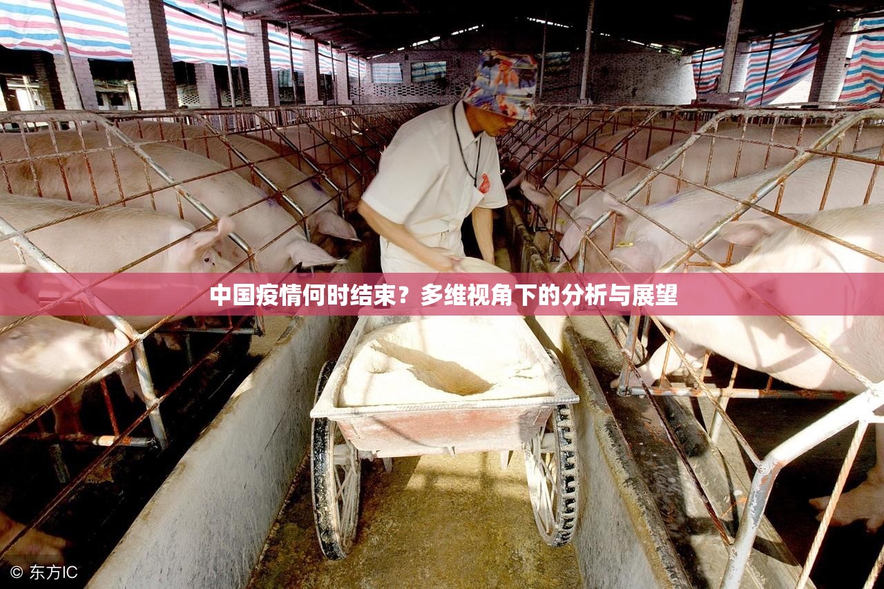 中国疫情何时结束？多维视角下的分析与展望