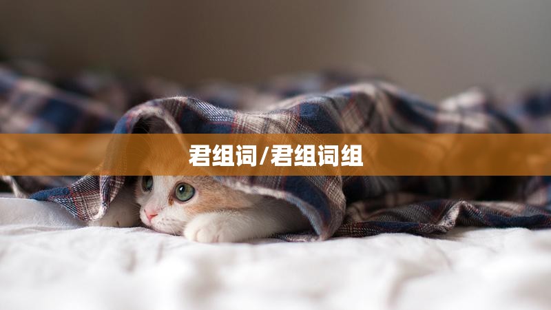 君组词/君组词组