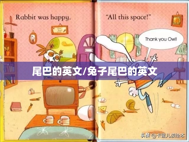 尾巴的英文/兔子尾巴的英文