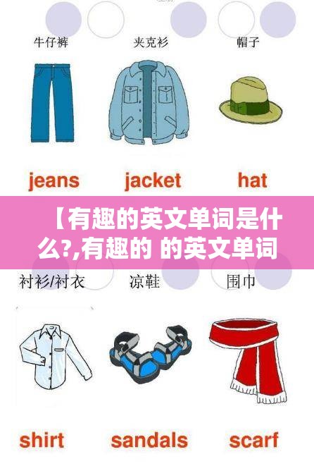 【有趣的英文单词是什么?,有趣的 的英文单词】