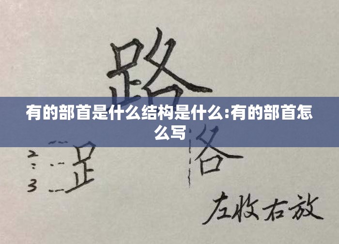 有的部首是什么结构是什么:有的部首怎么写