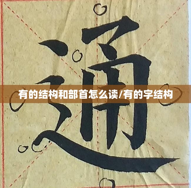 有的结构和部首怎么读/有的字结构