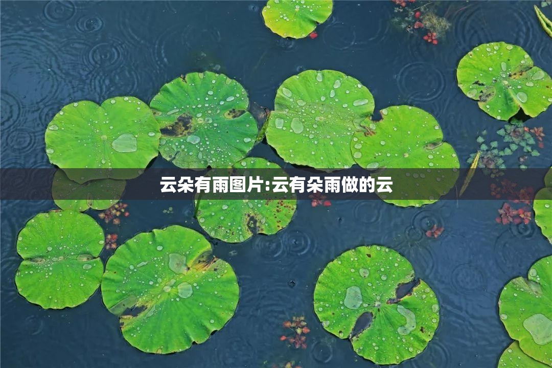 云朵有雨图片:云有朵雨做的云