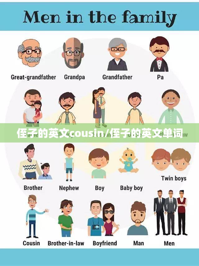 侄子的英文cousin/侄子的英文单词
