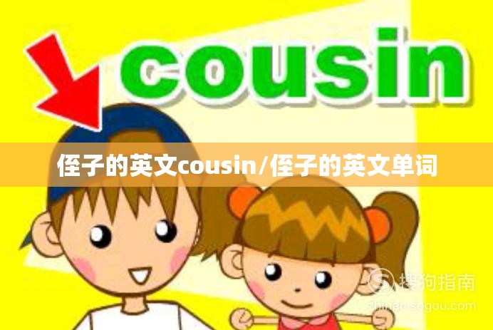 侄子的英文cousin/侄子的英文单词