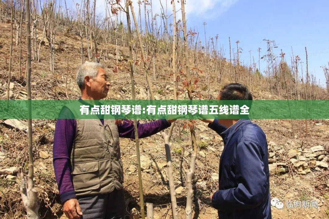 有点甜钢琴谱:有点甜钢琴谱五线谱全