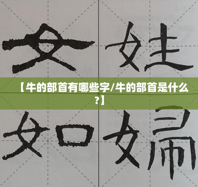 【牛的部首有哪些字/牛的部首是什么?】