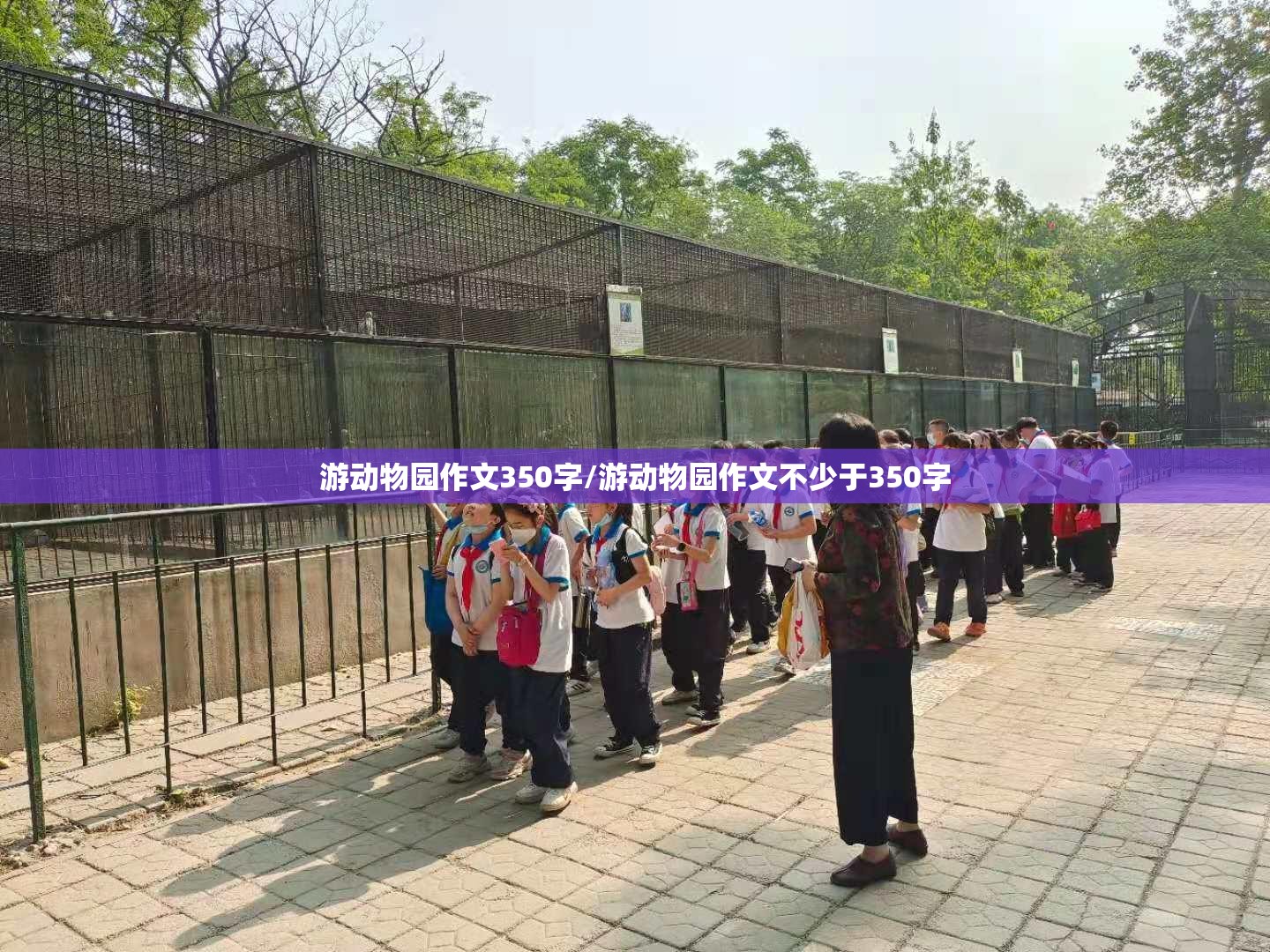 游动物园作文350字/游动物园作文不少于350字