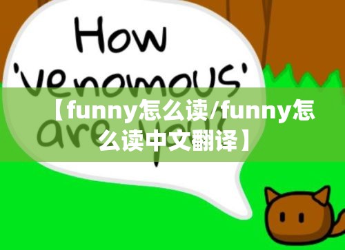 【funny怎么读/funny怎么读中文翻译】