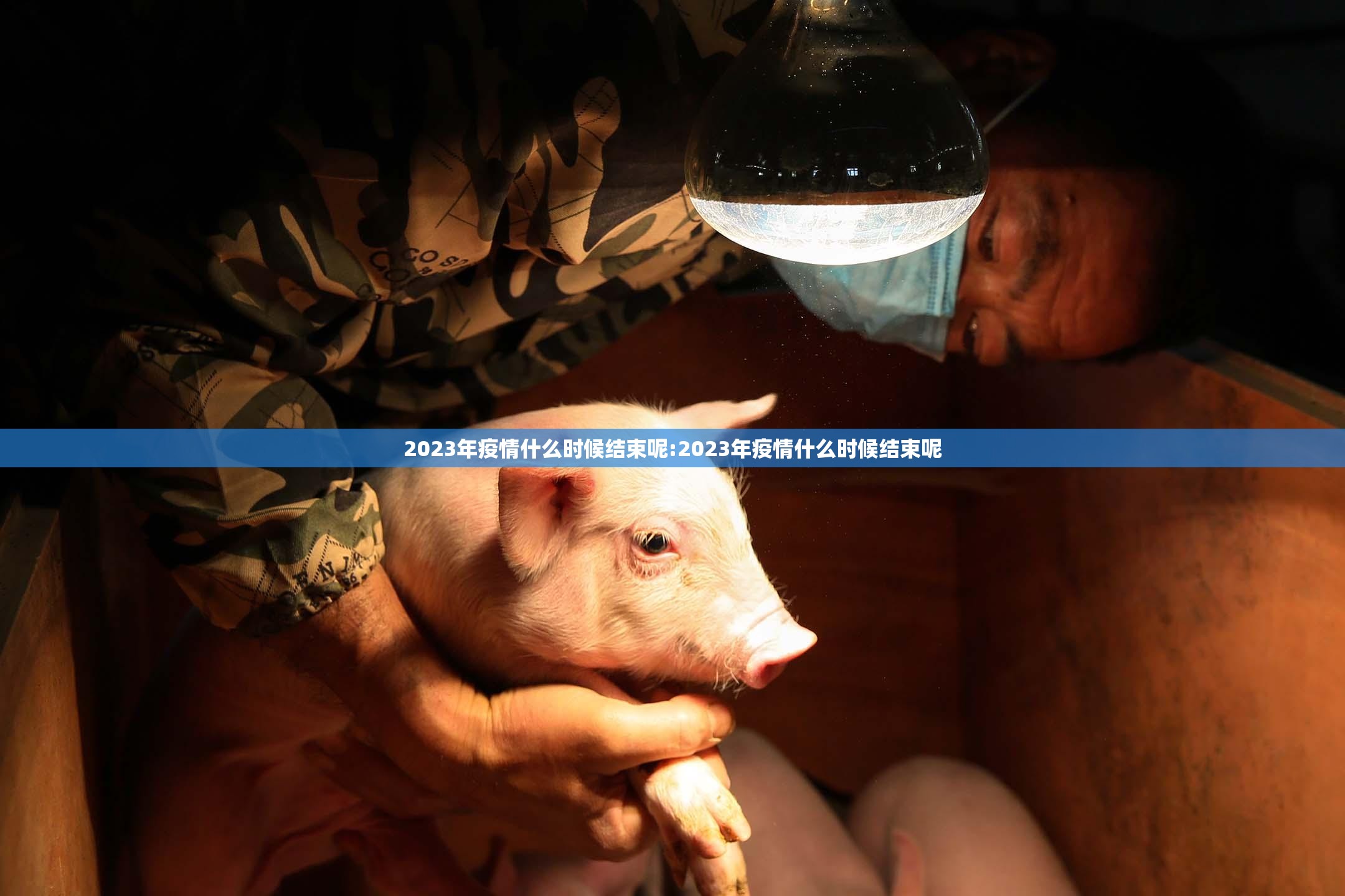 2023年疫情什么时候结束呢:2023年疫情什么时候结束呢