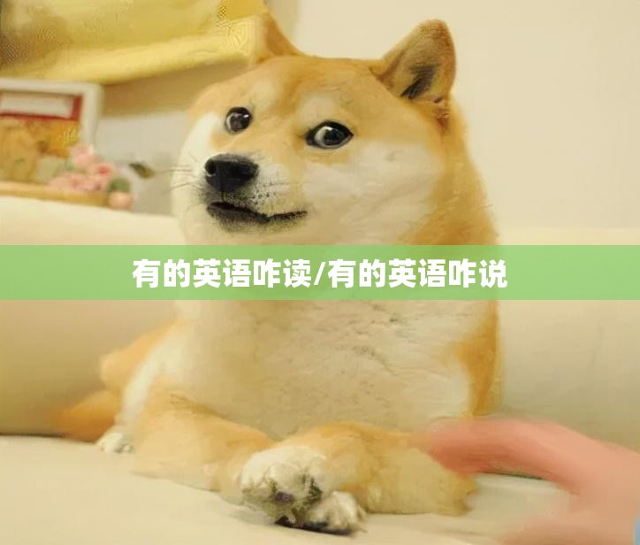 有的英语咋读/有的英语咋说