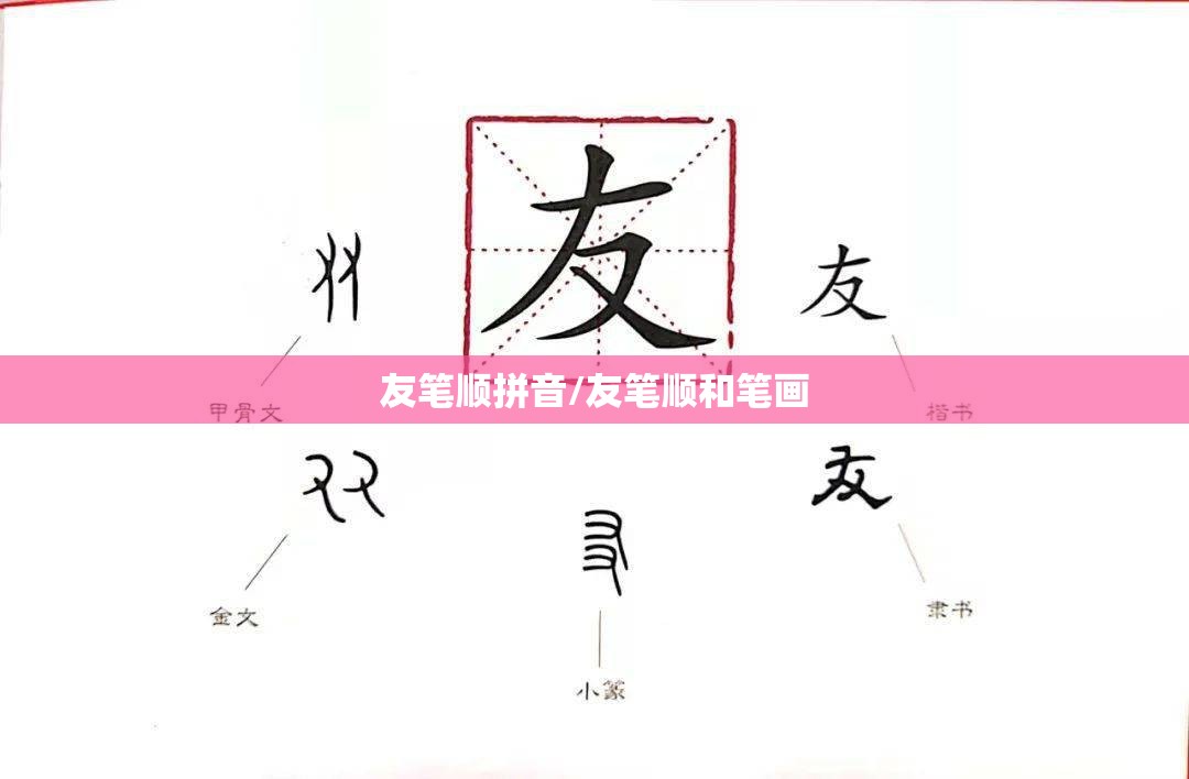 友笔顺拼音/友笔顺和笔画