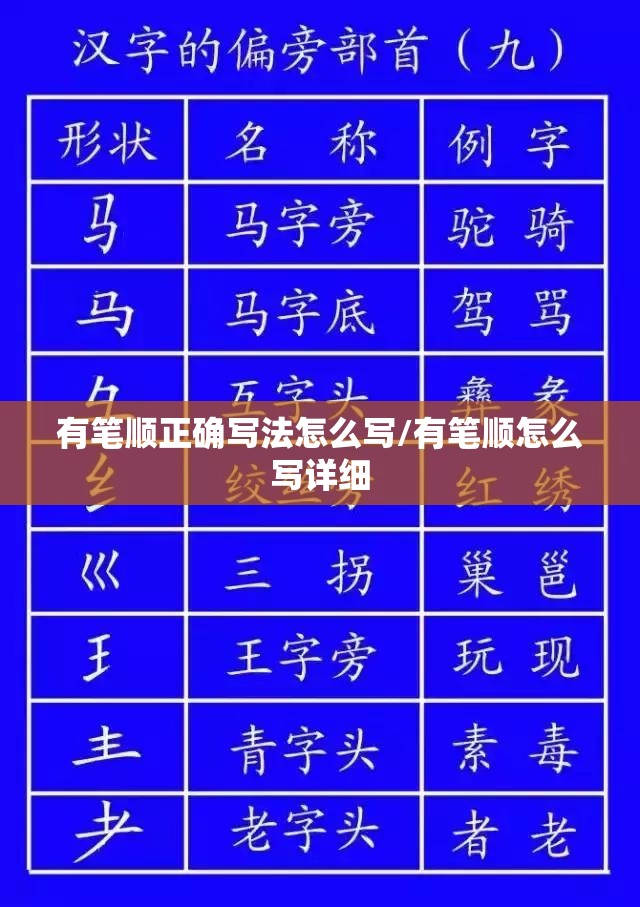 有笔顺正确写法怎么写/有笔顺怎么写详细