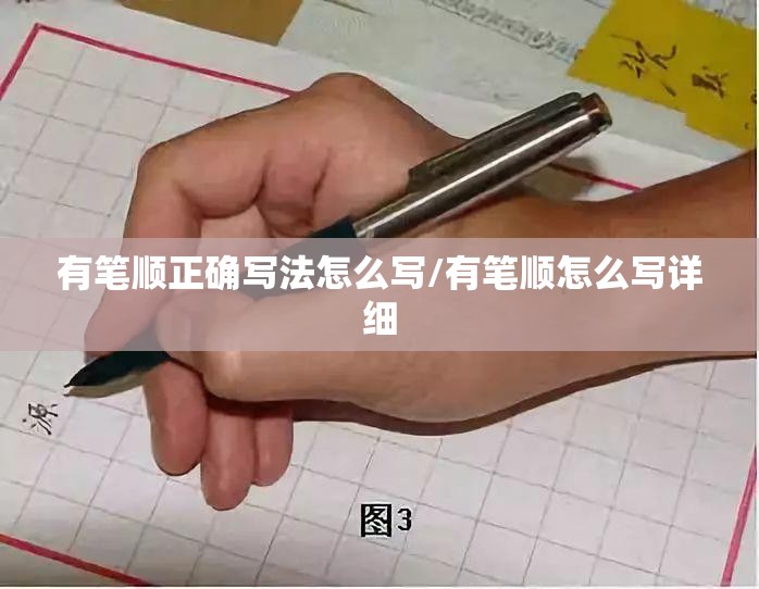 有笔顺正确写法怎么写/有笔顺怎么写详细