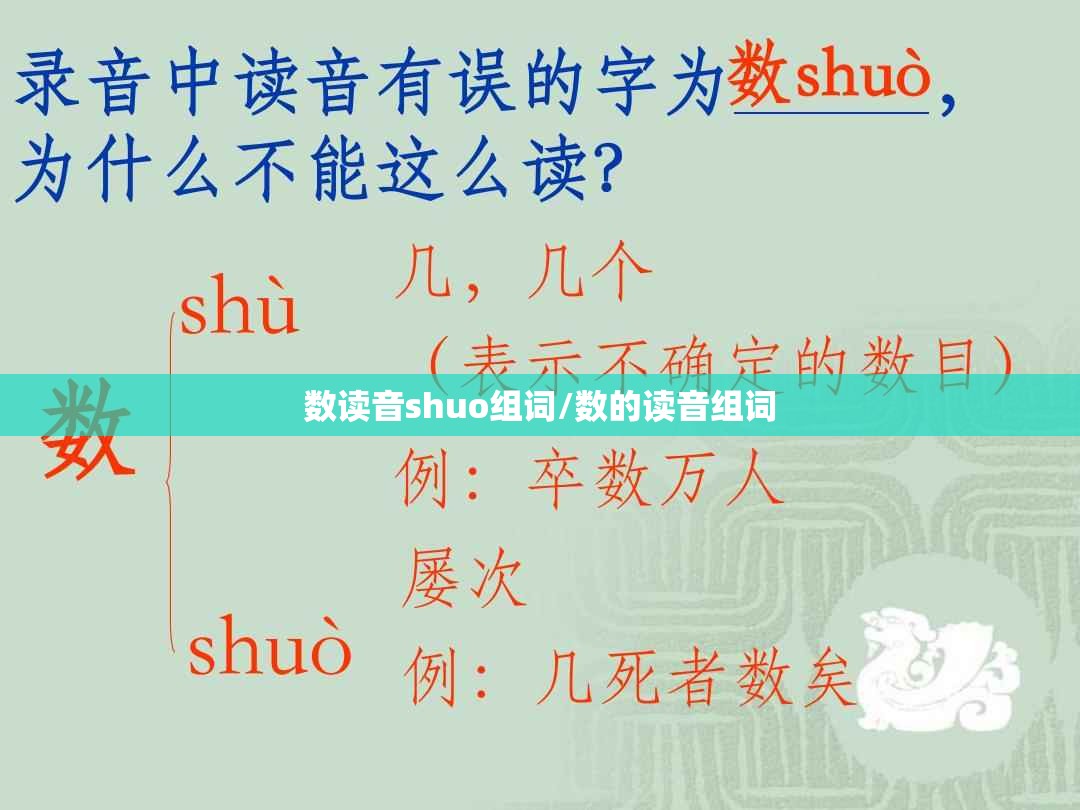 数读音shuo组词/数的读音组词