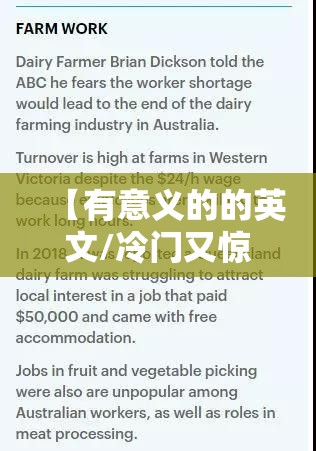【有意义的的英文/冷门又惊艳的英文单词】