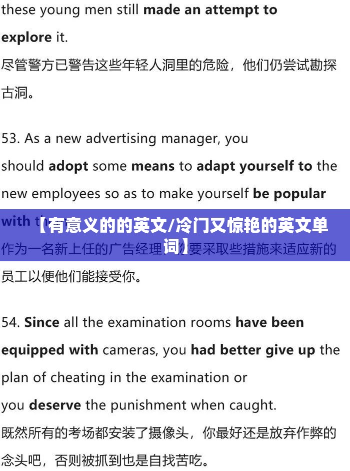 【有意义的的英文/冷门又惊艳的英文单词】