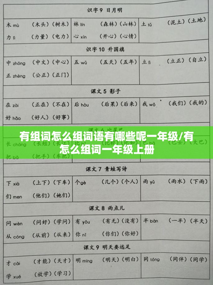 有组词怎么组词语有哪些呢一年级/有怎么组词一年级上册