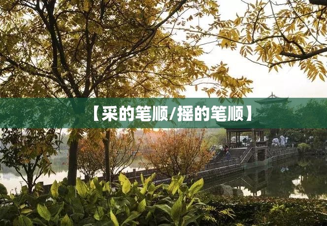 【采的笔顺/摇的笔顺】