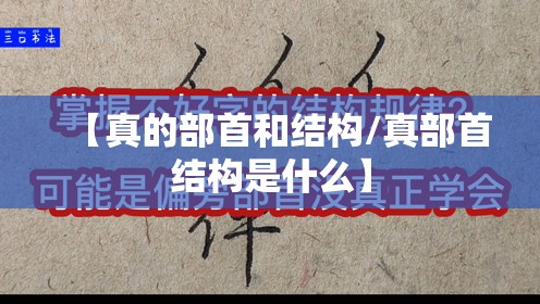 【真的部首和结构/真部首结构是什么】