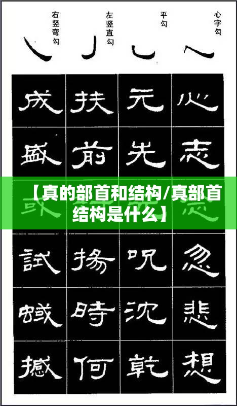 【真的部首和结构/真部首结构是什么】