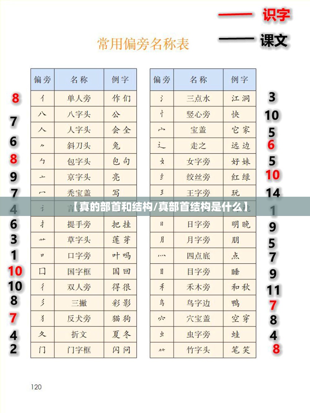 【真的部首和结构/真部首结构是什么】