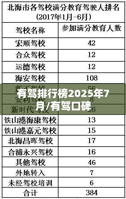 有驾排行榜2025年7月/有驾口碑