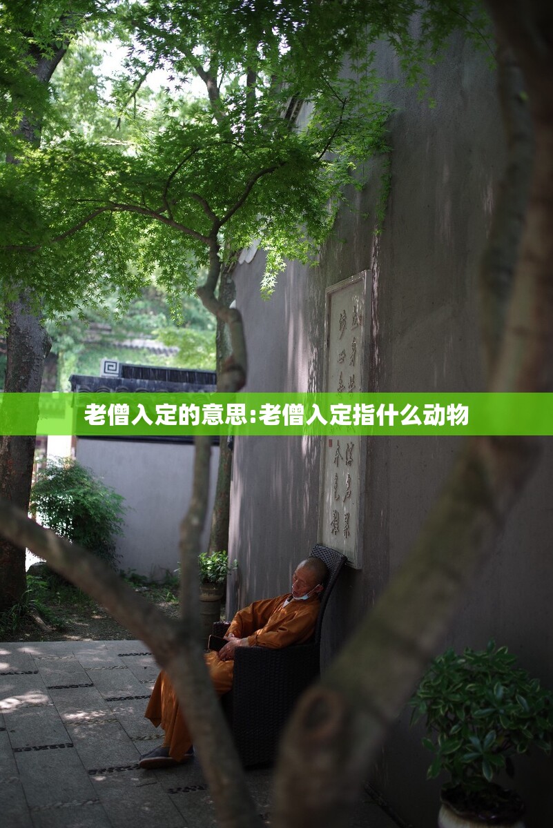 老僧入定的意思:老僧入定指什么动物