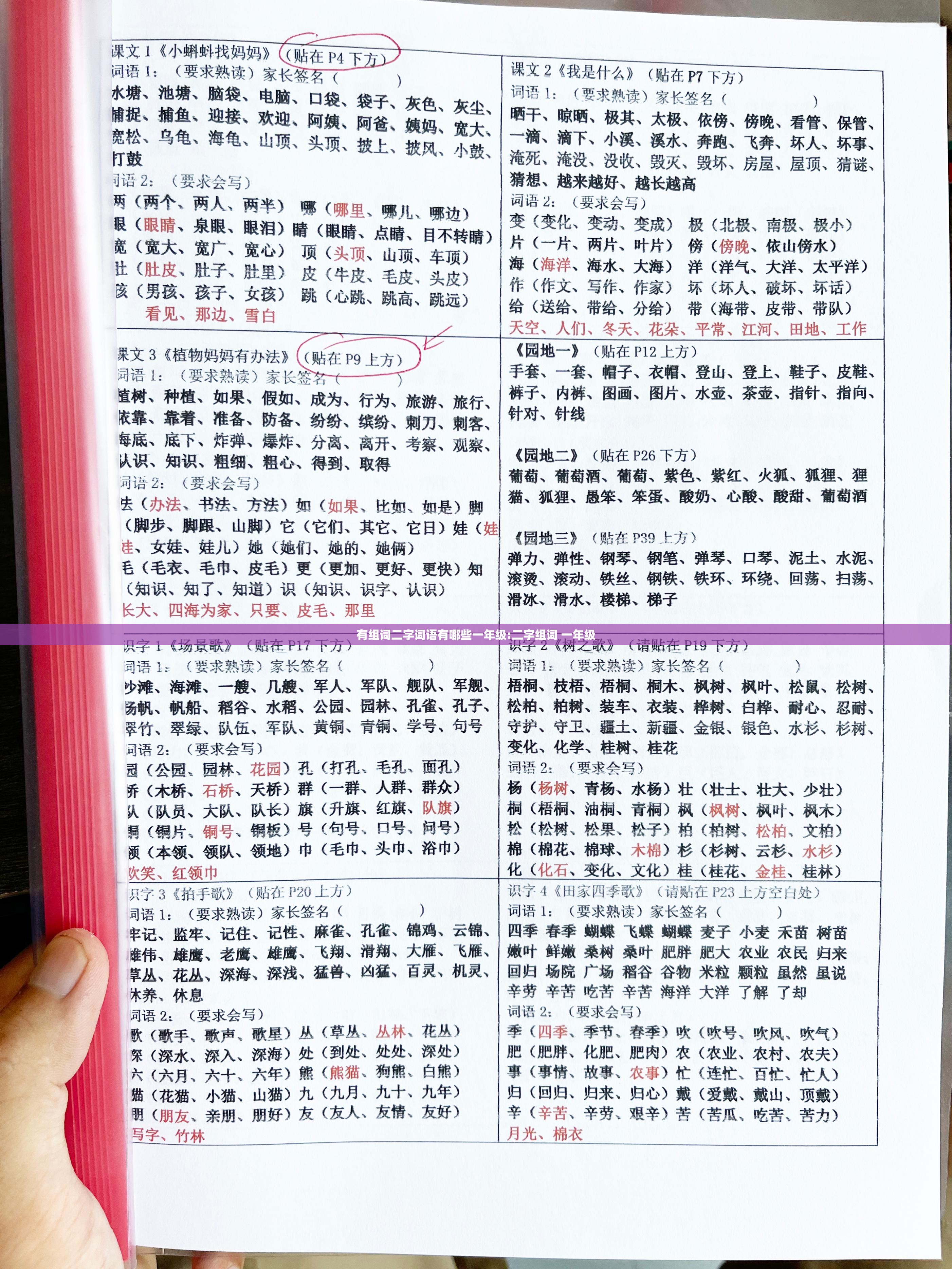 有组词二字词语有哪些一年级:二字组词 一年级