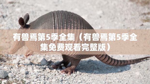 【游___作文500字,游记作文500字】