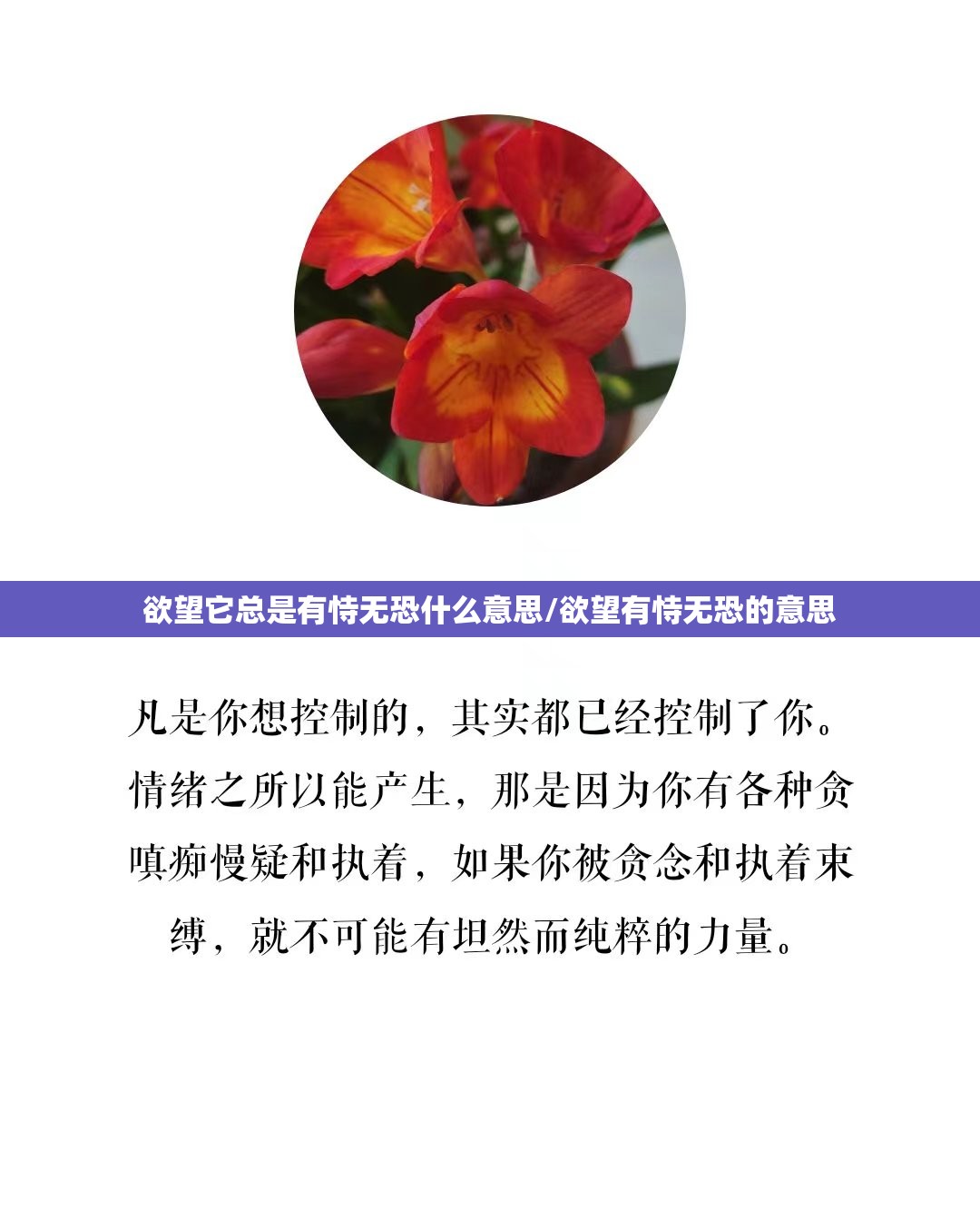 欲望它总是有恃无恐什么意思/欲望有恃无恐的意思