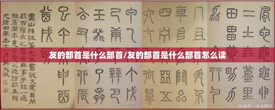 友的部首是什么部首/友的部首是什么部首怎么读