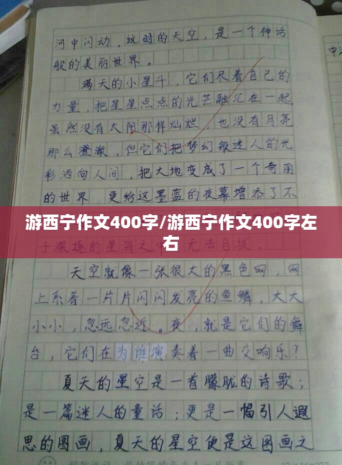 游西宁作文400字/游西宁作文400字左右