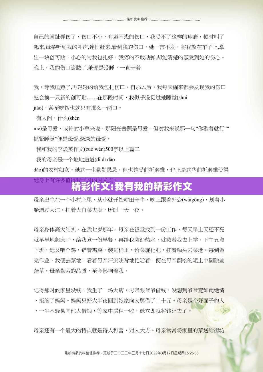 精彩作文:我有我的精彩作文