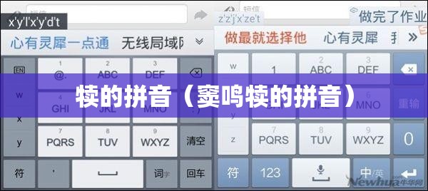 犊的拼音（窦鸣犊的拼音）