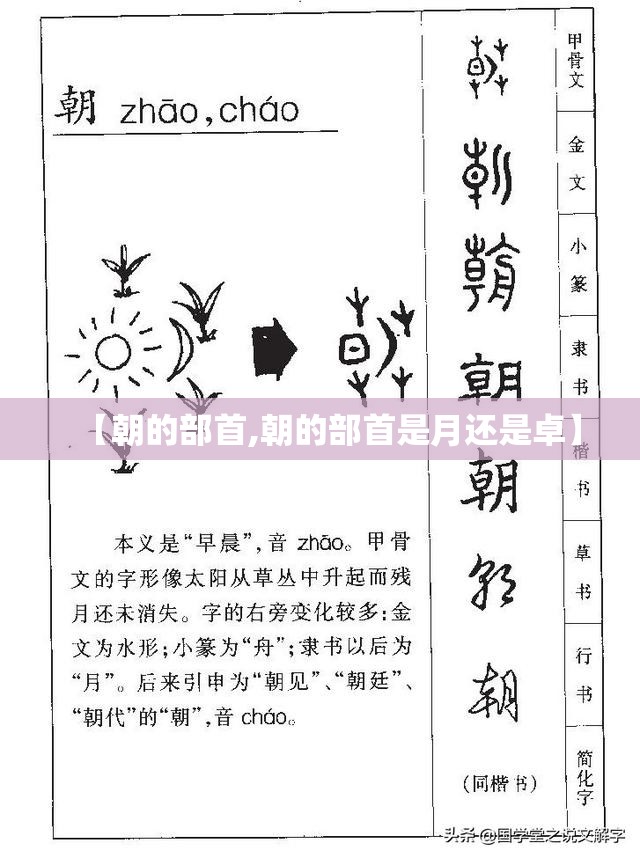 【朝的部首,朝的部首是月还是卓】