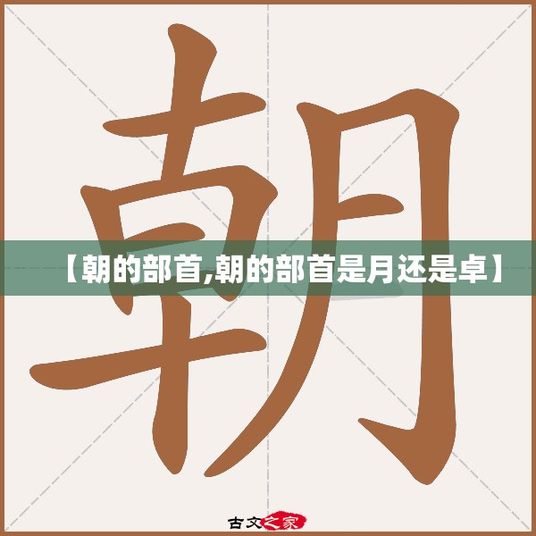 【朝的部首,朝的部首是月还是卓】