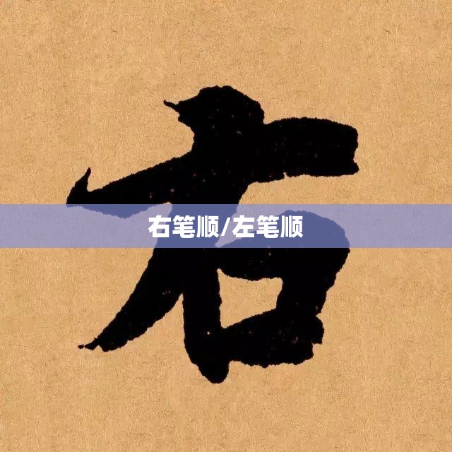 右笔顺/左笔顺