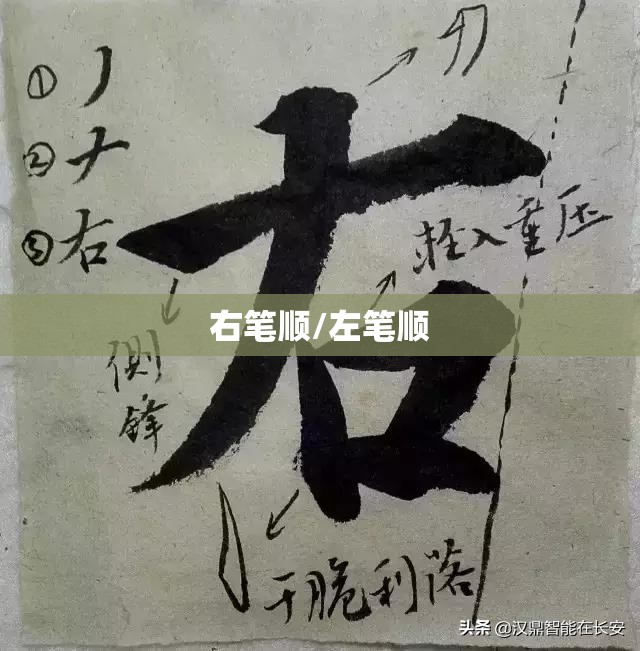 右笔顺/左笔顺