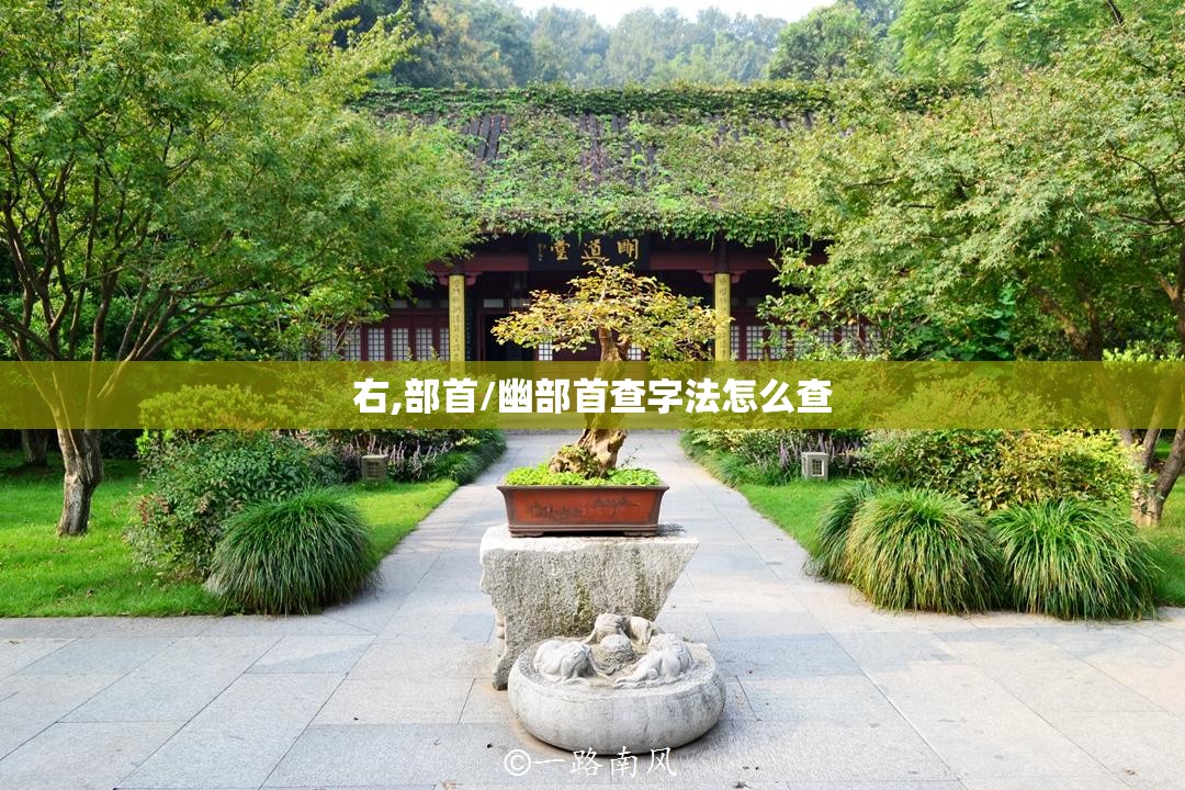右,部首/幽部首查字法怎么查