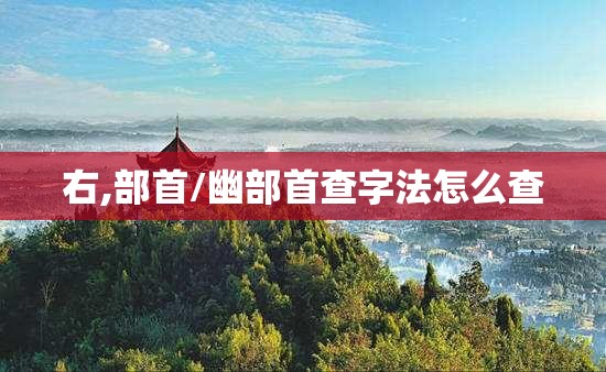 右,部首/幽部首查字法怎么查
