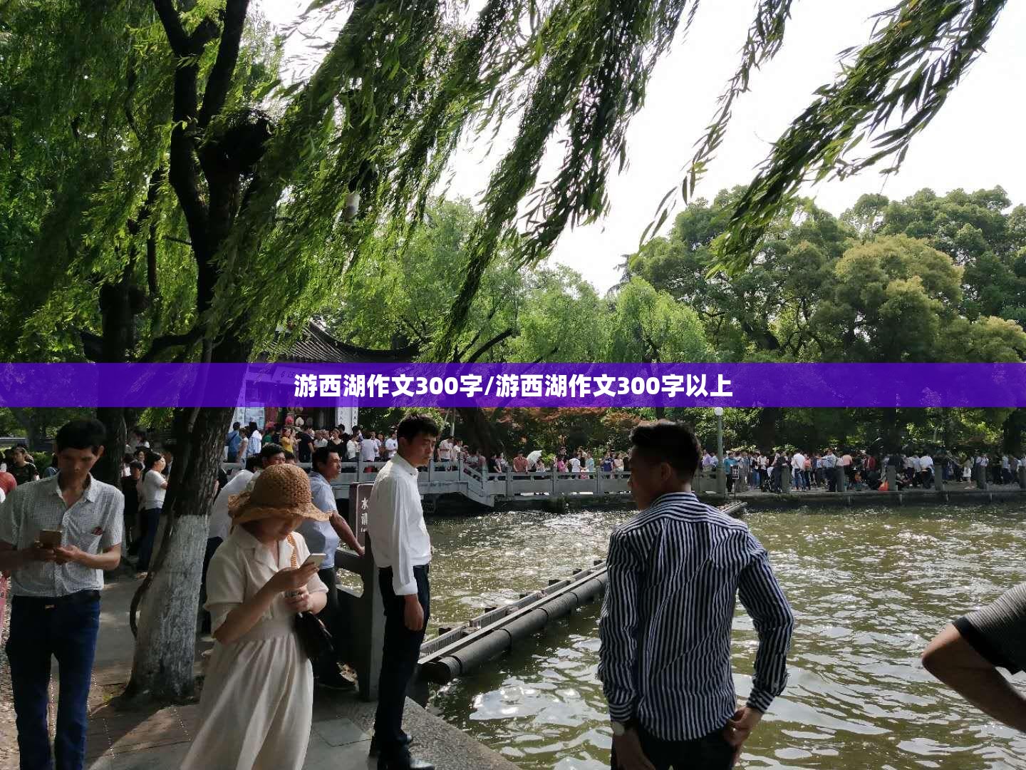 游西湖作文300字/游西湖作文300字以上