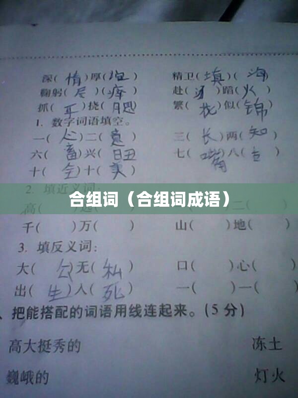 合组词（合组词成语）