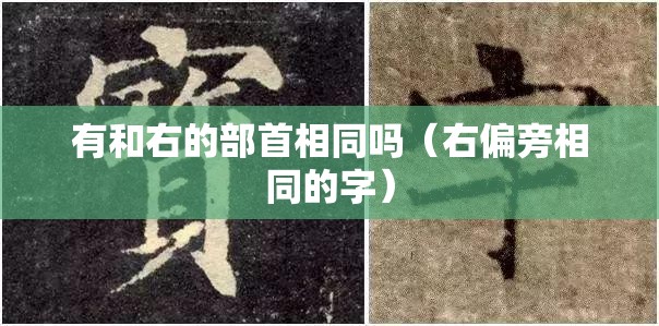 英语怎么说脏话:英语怎么说傻b怎么读