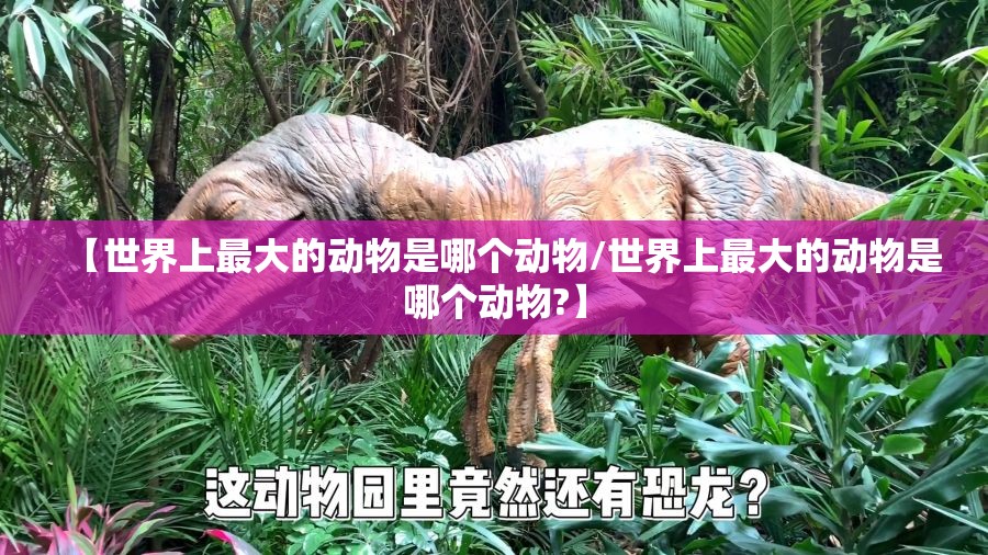 【世界上最大的动物是哪个动物/世界上最大的动物是哪个动物?】